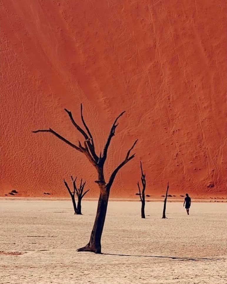 グラフ&ランツのインスタグラム：「Heat wave / via @jeromegalland, in Namibia」