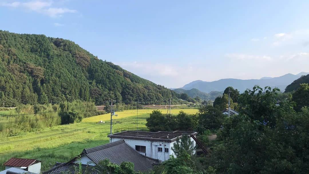 斉藤翠さんのインスタグラム写真 - (斉藤翠Instagram)「愛媛2019  愛媛取材旅からちょうど1年ほど。 台風接近の為に瀬戸大橋が通行止めになって、あれ？これは愛媛に行けるのか…？と最初っから最後まで色々ありましたが 愛媛の方達が本当に明るく、優しい方ばかりで感謝しきりの旅となり、トラブルを上回るくらい最高な旅となりました！  #愛媛 #松山 #宇和島 #2019夏 #日本の夏 #愛媛の夏 #ehime #matsuyama #uwajima #summer #japan_of_insta」8月20日 20時45分 - midori_sss