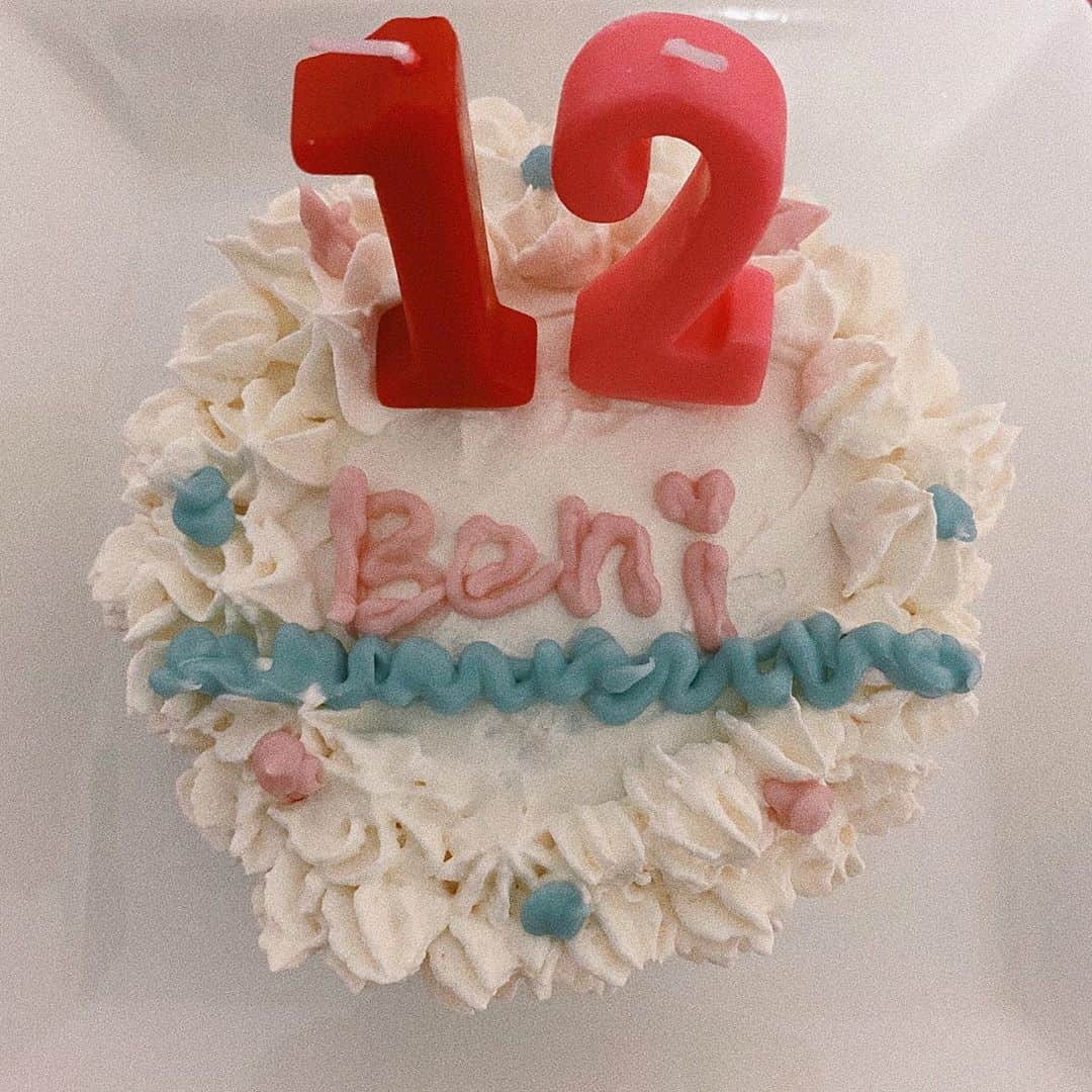 河﨑莉奈さんのインスタグラム写真 - (河﨑莉奈Instagram)「HAPPY BIRTH DAY♥️🎂 ベニたん12歳になりまちた🐶🤍 ・ 世界で1番愛おしい存在。 いつも元気と癒しをありがとう♡ ・ ベニへのお祝いコメント待ってます♡🐶」8月20日 21時26分 - rinya5588