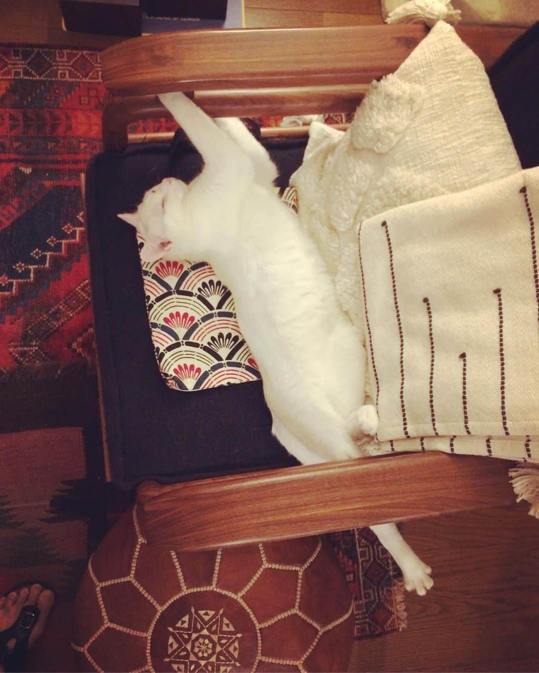 岡田屋鉄蔵のインスタグラム：「間違い探し。  迫り来るおんぶ小僧。 謎の捻り寝は背中を見せない為だった説。」