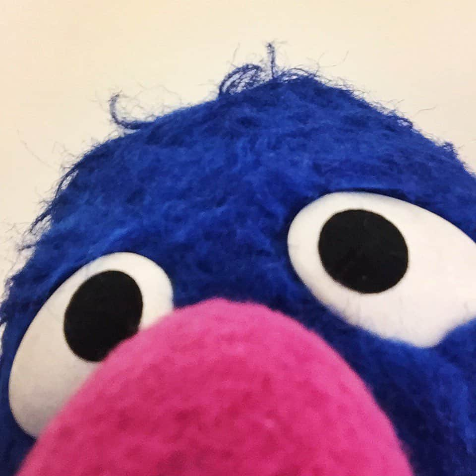 セサミストリートさんのインスタグラム写真 - (セサミストリートInstagram)「#TBT to practicing the art of selfies with Grover 💙 • • • #sesamestreet #grover #selfie #selfies #selfiesofinstagram #elmo #bigbird #cookiemonster #supergrover #parenting #kidscontent #momsofinstagram #dadsofinstagram」8月20日 22時34分 - sesamestreet