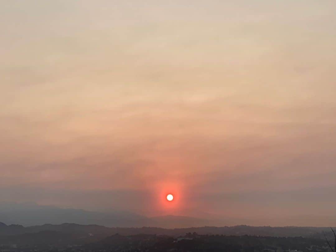 パトリック・J・アダムスのインスタグラム：「morning - waking up thinking a lot about the people who are fighting these fires all over the state during this horrific heat wave. I can’t begin to imagine the stress, heat and danger involved in such a task. Please take a moment today to send some gratitude in their direction and if you feel so inclined click the link in my bio to send some resources that can help them over the coming weeks. Have a safe day.」