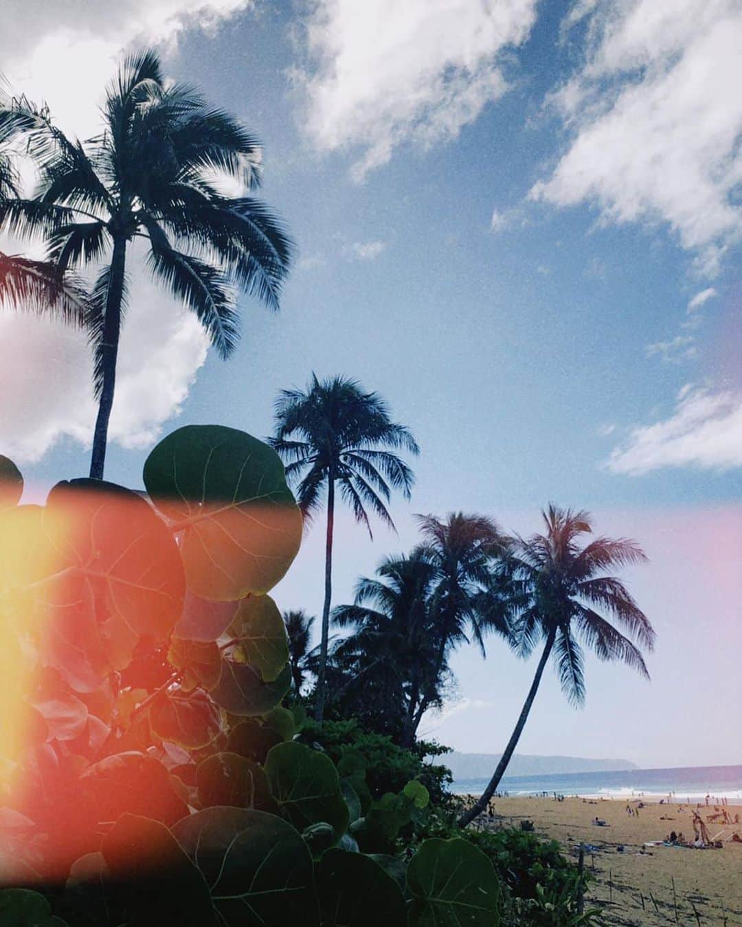 のインスタグラム：「Postcard-perfect 🌴Check our stories for @keliamoniz 24 Frames project」