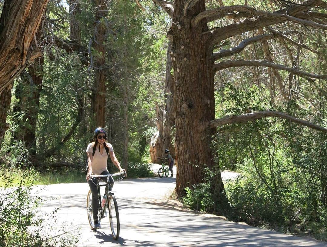 オータム・リーザーのインスタグラム：「A sweet local getaway with my family pod at @noon_collection_ 🚲 🌲 🎣」