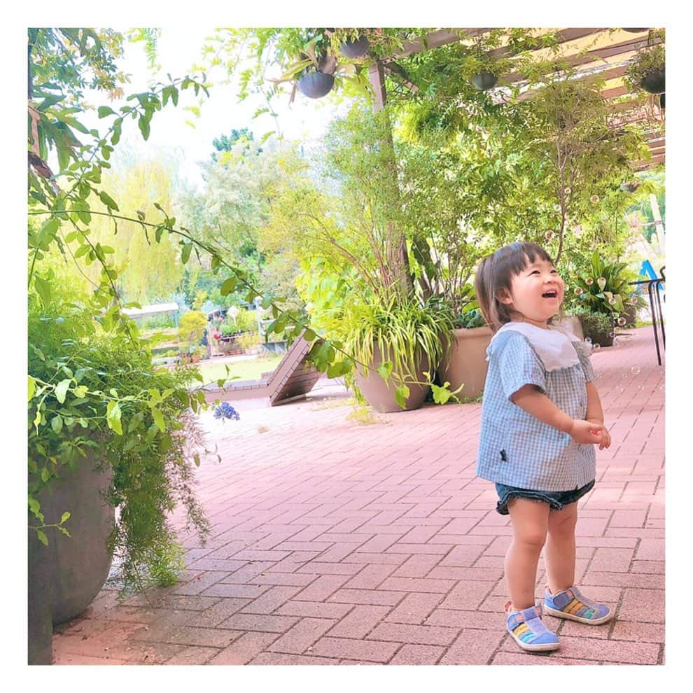 mamamizu.32さんのインスタグラム写真 - (mamamizu.32Instagram)「シェアガーデン南青山🌿﻿ ﻿ ﻿ ﻿ ﻿ ﻿ いやぁ暑かったこの日も🥺💦﻿ ﻿ちょっと前のフォト📷 ﻿ ﻿ ﻿ 梅雨からのいきなり猛暑って﻿ メンタルくる〜〜笑笑﻿ 子連れにはキツイ猛暑〜﻿ ﻿ ﻿ ﻿ でも晴れって最高だよね〜🍉❤︎﻿ ﻿ ﻿ ﻿ ちなみにここのハンバーガー🍔が﻿ めっちゃ本格的でびっくりした😳﻿ 冗談抜きで久しぶりにあんなに美味しい﻿ ハンバーガーたべたよ！😳😳﻿ ﻿ ﻿ ﻿ ゆっちゃんはハンバーガーまだ早いので﻿ ポテトつまみました❣️﻿ ﻿ ﻿ ﻿ ﻿ ﻿ ﻿  #mybabygirl#myeverything#myprincess#momlife#babygirl#instababies#instamum#mygirl#iloveyou#babysmiles#mummysgirl#babylove #東京ママ#sango#ままべび#ベビメモリ#rainbowmamababy#コノビー#ママカメラ#子育てぐらむ#ベビフル#コドモノ#ママタス#イットママ#キズナ#コズレ#シェアガーデン南青山#sharegardenmimamiaoyama #青山カフェ」8月20日 23時05分 - _____.m32yy