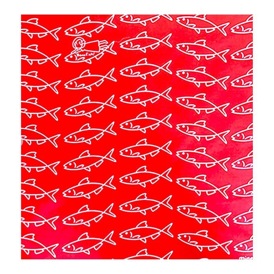 城南海さんのインスタグラム写真 - (城南海Instagram)「🤍❤️🤍❤️🤍 ・ Wo-,Bonefish! ・ ・ ・ #城南海 #夏グッズ #phototshirt  #ボーンフィッシュ ハンカチ #ハナハナビーチサンダル #せーのっはなはなはなはなー #ムーランカラー #ムーラン  城南海オンラインストアを見てね。」8月20日 23時24分 - kizukiminami