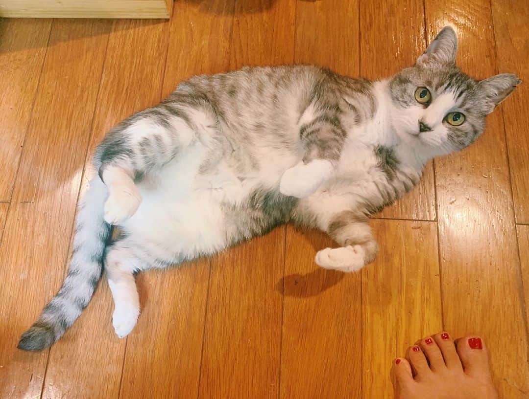 坂本美雨のインスタグラム