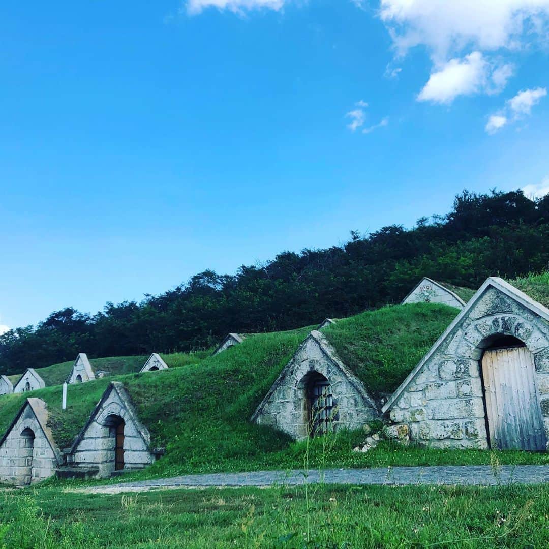のインスタグラム：「Folytatom a #magyarország felfedezést!! Most tokaj és környék volt a soros,mindig is balatoni gyerek voltam de ennek a térségnek nem sok párja van!!!! #tokaj #tokajborvidek #hercegkút #ilovehungary」