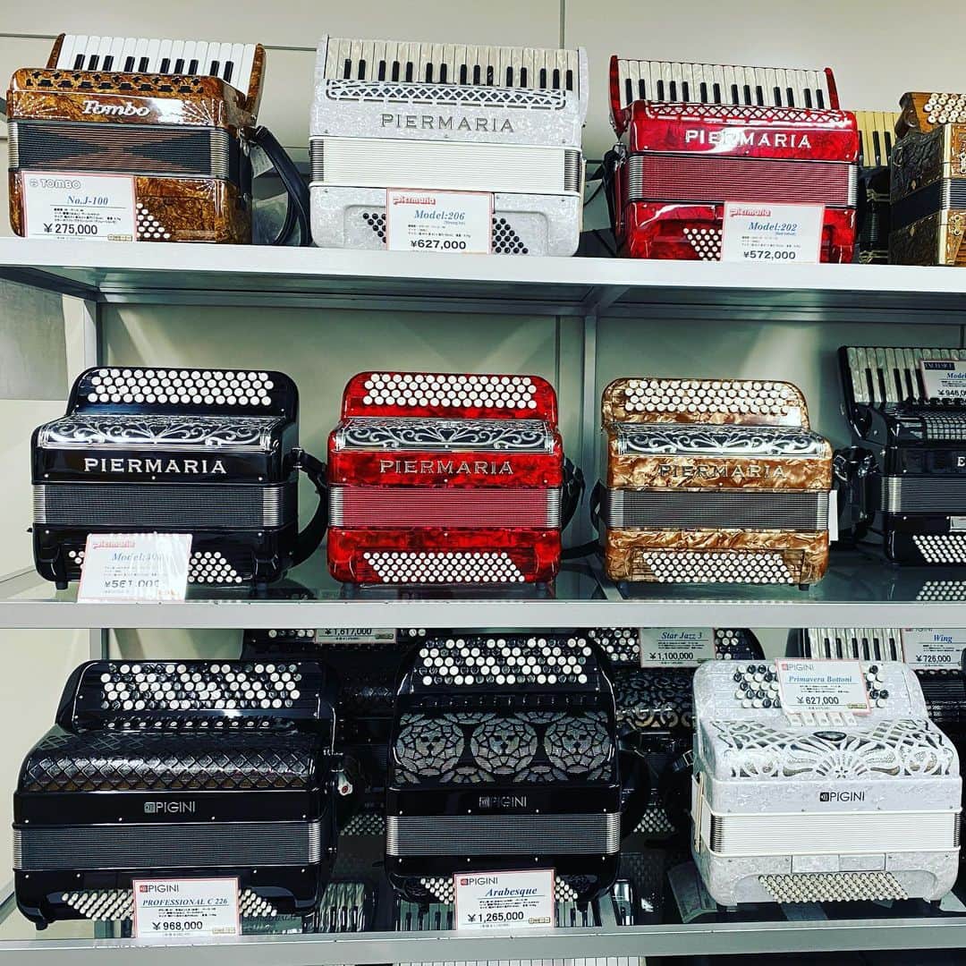 小春さんのインスタグラム写真 - (小春Instagram)「お楽しみにね🎥  #谷口楽器 #accordion  #蛇腹談義」8月20日 23時50分 - suttokodokkoiii
