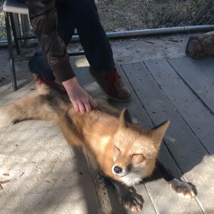 Rylaiのインスタグラム