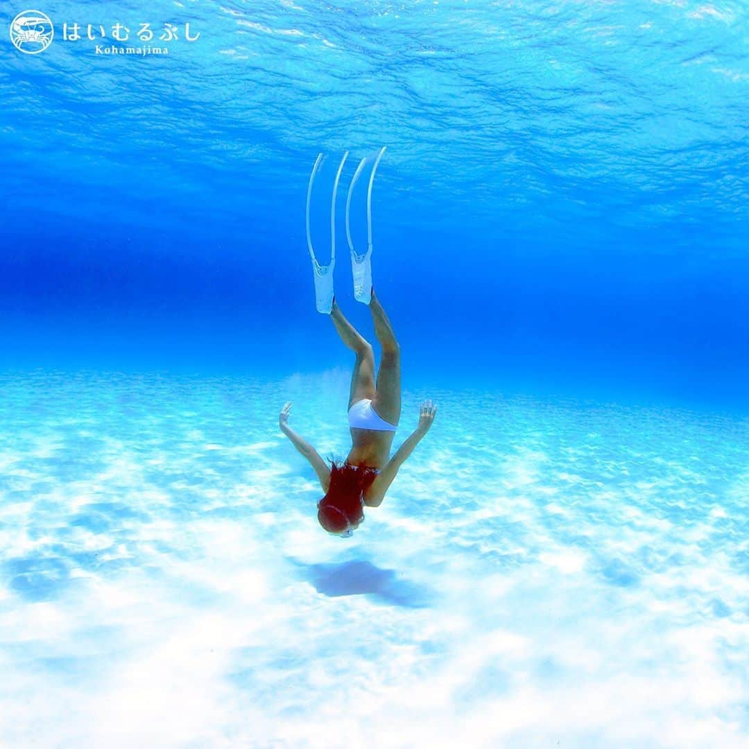 HAIMURUBUSHI はいむるぶしさんのインスタグラム写真 - (HAIMURUBUSHI はいむるぶしInstagram)「小浜島・はいむるぶしから癒しの風景をお届けします。 海に潜ると感じる心地よさ… 青い静寂な世界で心と体が癒されます。 #沖縄  #八重山諸島 #石西礁湖 #シュノーケル #素潜り #安らぎ #青い世界 #小浜島 #リゾート #ホテル #はいむるぶし」8月21日 0時59分 - haimurubushi_resorts