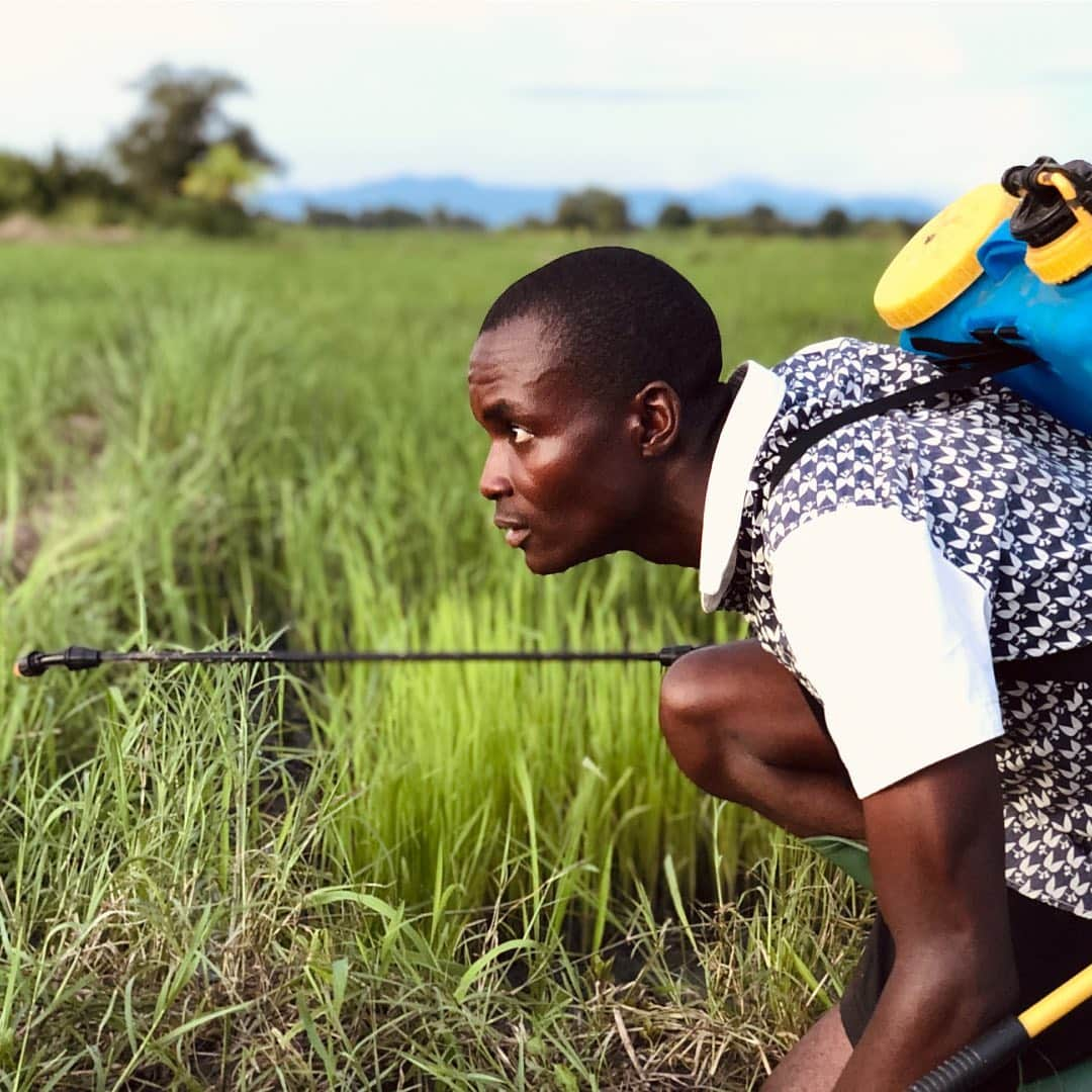 ビル・ゲイツさんのインスタグラム写真 - (ビル・ゲイツInstagram)「The progress the world has made against malaria is one of the greatest success stories ever. The COVID-19 pandemic only reinforces why eradicating malaria is so essential. #WorldMosquitoDay」8月21日 1時21分 - thisisbillgates