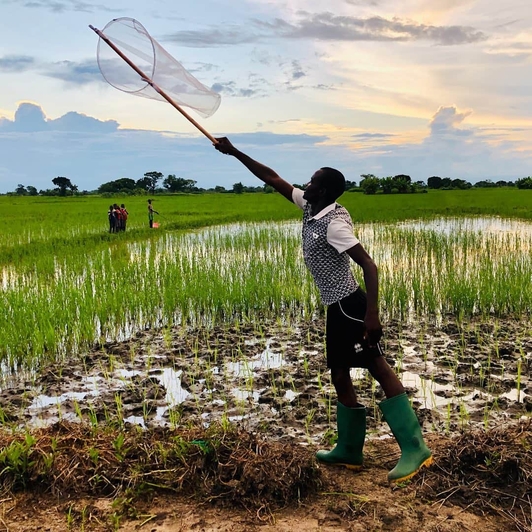 ビル・ゲイツさんのインスタグラム写真 - (ビル・ゲイツInstagram)「The progress the world has made against malaria is one of the greatest success stories ever. The COVID-19 pandemic only reinforces why eradicating malaria is so essential. #WorldMosquitoDay」8月21日 1時21分 - thisisbillgates