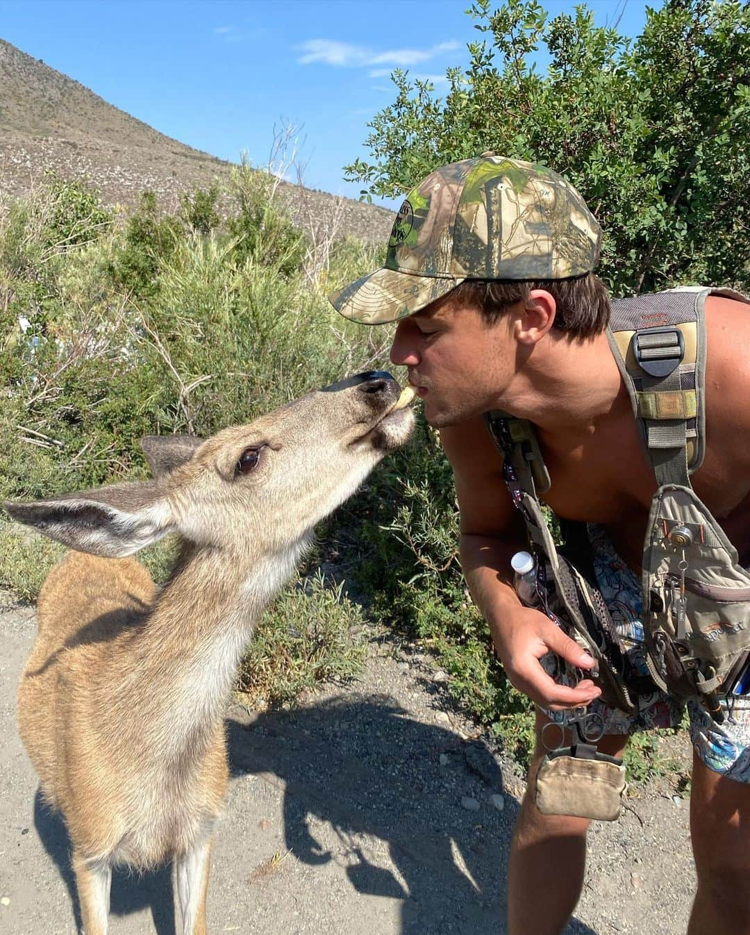 キャメロン・ダラスさんのインスタグラム写真 - (キャメロン・ダラスInstagram)「Found this stray dog out camping」8月21日 1時19分 - camerondallas