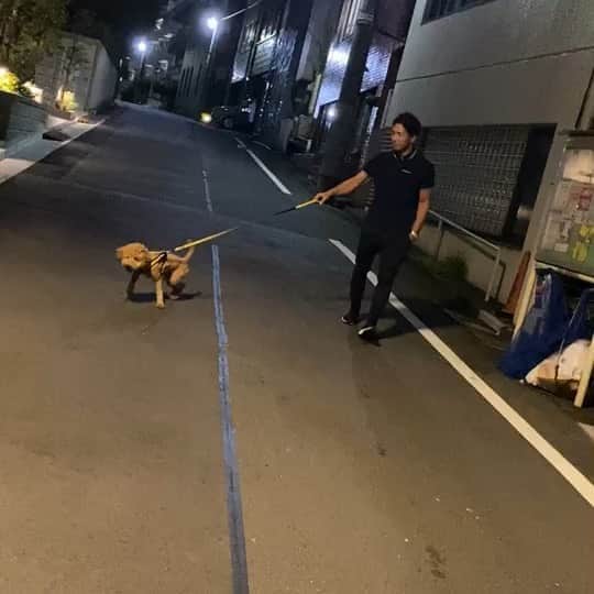 宮田和幸のグルメインスタ