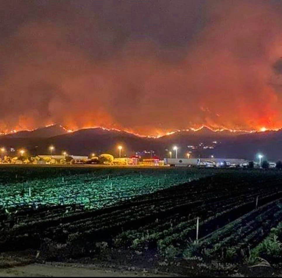 クレア・コフィーのインスタグラム：「my hometown in burning. sending love and prayers to salinas, my family, and all of california. it’s all just too much.」