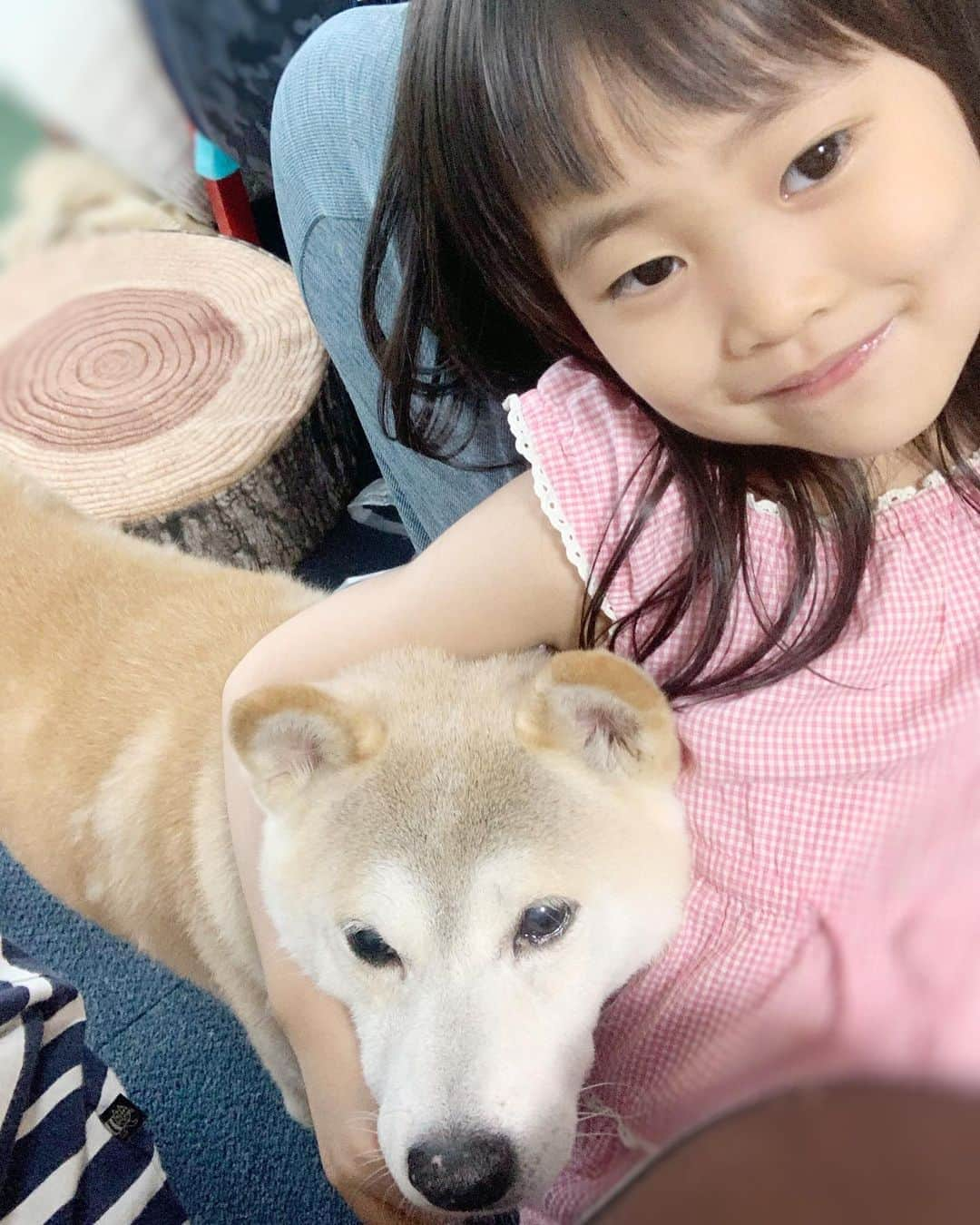 菊地由美のインスタグラム：「* この迷コンビも元気モリモリ🐕💪👧🏻 暑さに負けずに頑張りまっしょい❗️💛 . #はちとめーちゃん#GoodboyHachi #元保護犬#rescueddog#foreverfamily #yumiandmusume#めーちゃん4歳」