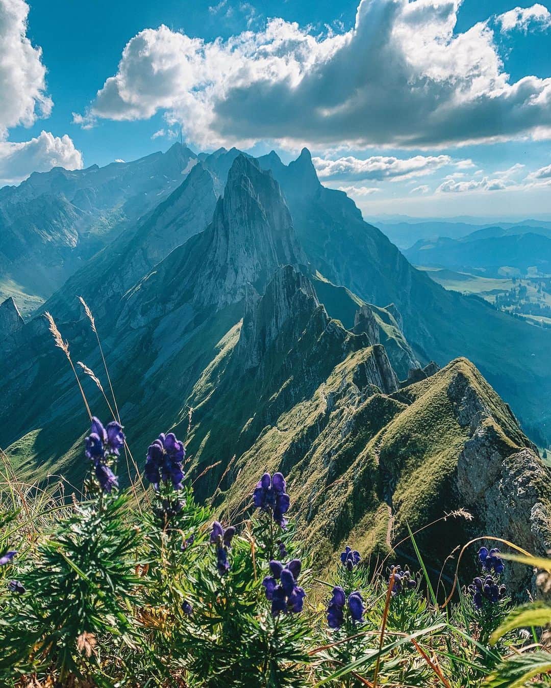 Zanna Van Dijkさんのインスタグラム写真 - (Zanna Van DijkInstagram)「This is by far most beautiful ridge line I’ve EVER seen 🏔 Swipe right for an epic mountain view🤩 📍Appenzell, Switzerland 🇨🇭 #appenzell #appenzeller #appenzellerland #Switzerland #myswitzerland #mountainscape #greatoutdoors #hikinggirl #hikingblogger #travelblogger #getoutdoors」8月21日 3時54分 - zannavandijk