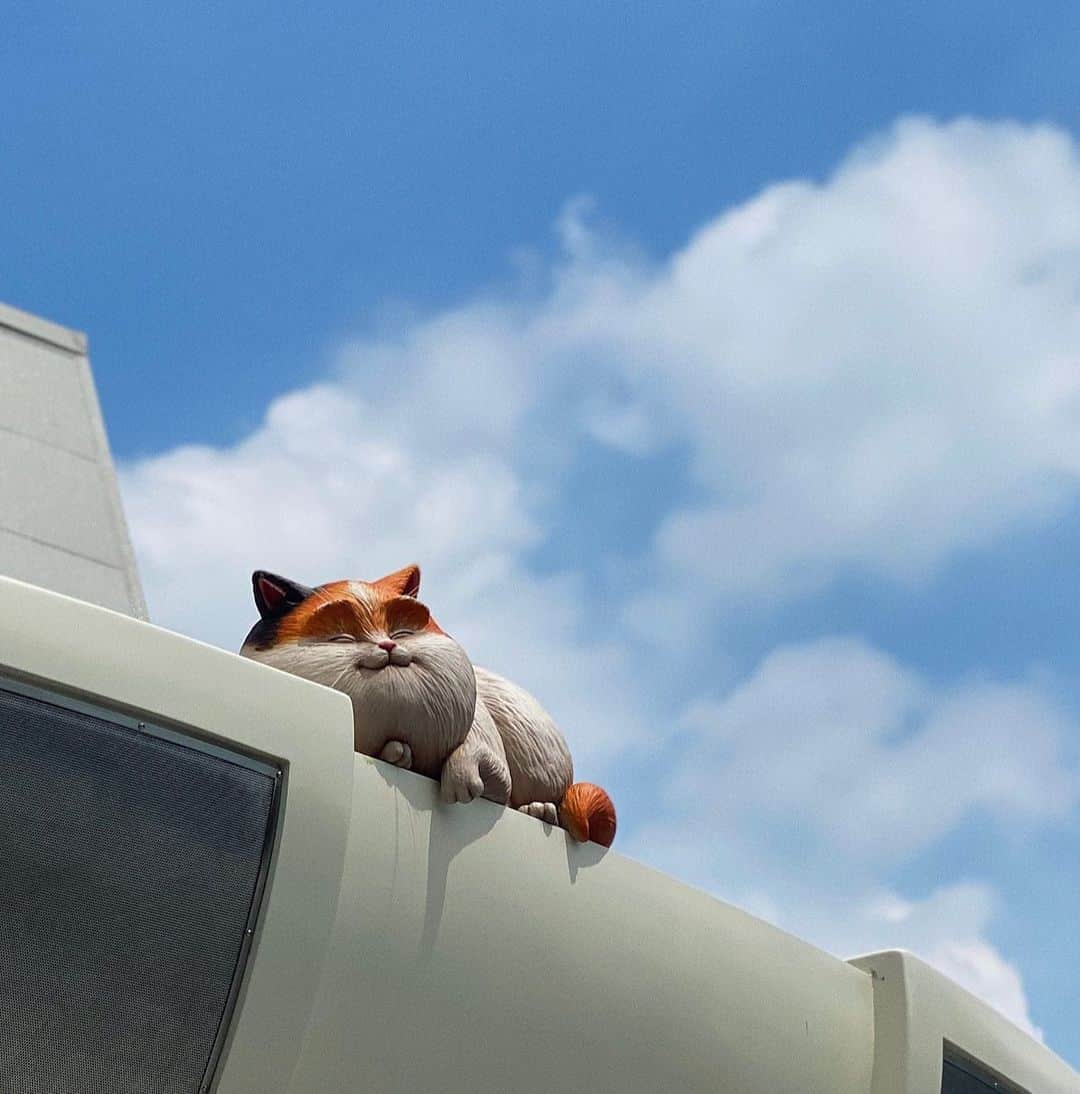 圭叶（KEYKA）さんのインスタグラム写真 - (圭叶（KEYKA）Instagram)「この猫の鳴き声ちゃんと聴こえてくるの好き🐱雲いい感じでしょ😏  #tokyo #tokyodisneyland #disneyland #インスタ加工」8月21日 13時53分 - https.keyka