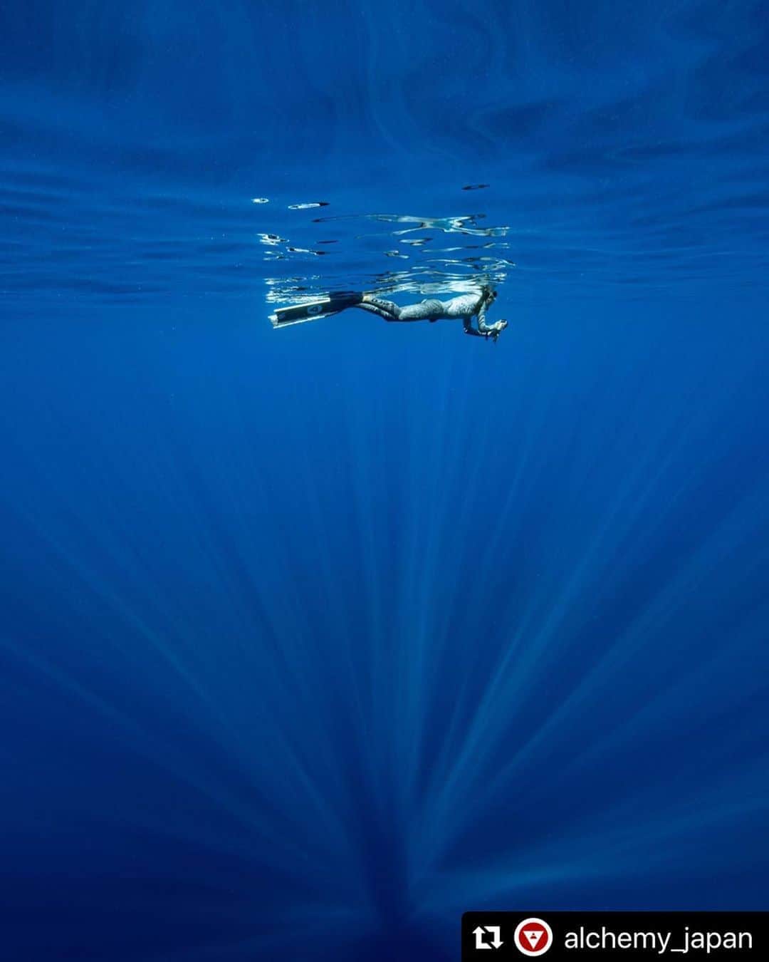 福田朋夏さんのインスタグラム写真 - (福田朋夏Instagram)「#Repost @alchemy_japan with @make_repost ・・・ アルケミーカーボンフィン。  ウェブストアにてご案内中です。 http://tinyurl.com/alchemy-webstore  📸 @Ryuzoshinomiya 🧜‍♀️ @tomoka_fukuda  ⠀ #alchemy #alchemyfins #freediving #alchemyv3 #underwaterphotography #freedive #carbon #carbonfins #bifins #diving #freedivingphotos #watersports #discover #adventure #saltlife #apnea #freediver #freediverlife #freedivingfins #freediverfins」8月21日 13時48分 - tomoka_fukuda