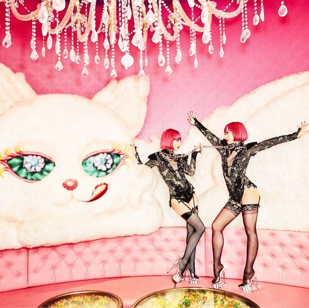 AYAさんのインスタグラム写真 - (AYAInstagram)「🐱🖤 @ellenvonunwerth @ellenvonunwerthvon」8月21日 13時57分 - ayaxxamiaya