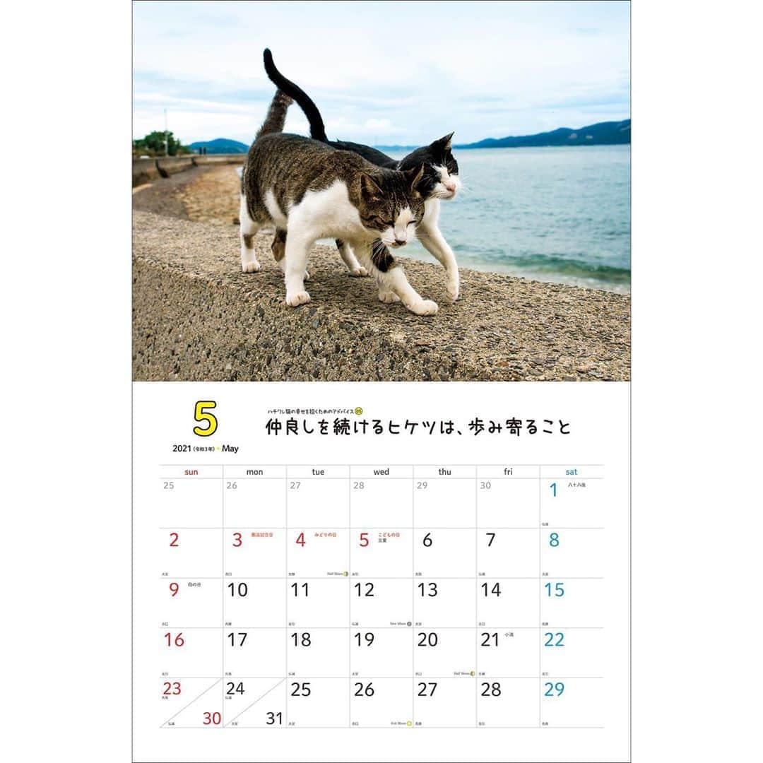 Masayukiさんのインスタグラム写真 - (MasayukiInstagram)「毎月「幸せを招くためのアドバイス」がついてくる！  2021　幸せを招くハチワレ猫　壁掛けカレンダー ￥1,320 サイズ:34cm×26cm   ※　instagramの投稿の都合で上下左右の余白を多めにとっている写真もあります。  （すべての写真） 実際の商品には余白はつきませんのでお気を付けくださいませ。  お気に召すようでしたら、全国の書店やアマゾンなどのオンライン書店にてご予約くださいませ。  ※　 2021年は5種類。」8月21日 14時14分 - okirakuoki