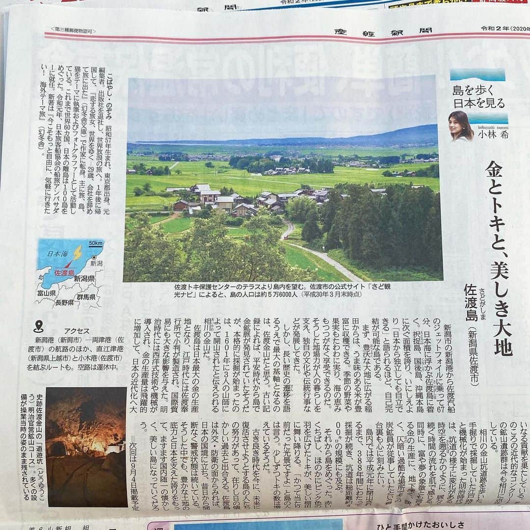 小林希さんのインスタグラム写真 - (小林希Instagram)「8/21 産経新聞で連載中の⬇️ 「島を歩く、日本を見る」 (隔週金曜日、生活面)  11回目は、新潟県の佐渡です。 日本の古き美しい原風景に 出会える島の一つです！✨  沖縄の次に大きな島で、 かつて独立国になれると語られるほど 豊かな大地と文化があります。  佐渡金山の金鉱脈の産業は、 日本の近代化にも 大きな貢献を果たしています。 産業遺産めぐりは、 まるで時空を超えた旅みたい✨  それこらトキが舞い降りる田園風景が 少しずつ回復しているみたいで、 懐かしい過去と出会えます。  写真は新聞版と電子版。 ぜひご一読ください😊  #佐渡島 #佐渡汽船 #sankei #産経新聞 #新連載 #島旅 #島を歩く日本を見る #island #離島 #新潟県#トキ #原風景 #sado」8月21日 14時30分 - nozokoneko