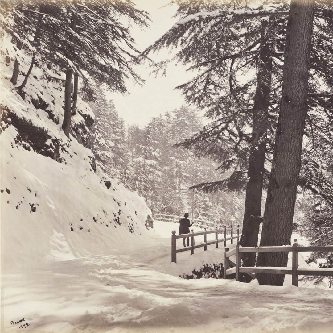 ロサンゼルスカウンティ美術館さんのインスタグラム写真 - (ロサンゼルスカウンティ美術館Instagram)「Hoping this snowy scene provides a little relief on (yet another) impossibly warm L.A. day...🥵  Samuel Bourne, "Simla in Winter, View from the Bowler," circa 1868, albumen silver print.」8月21日 6時16分 - lacma