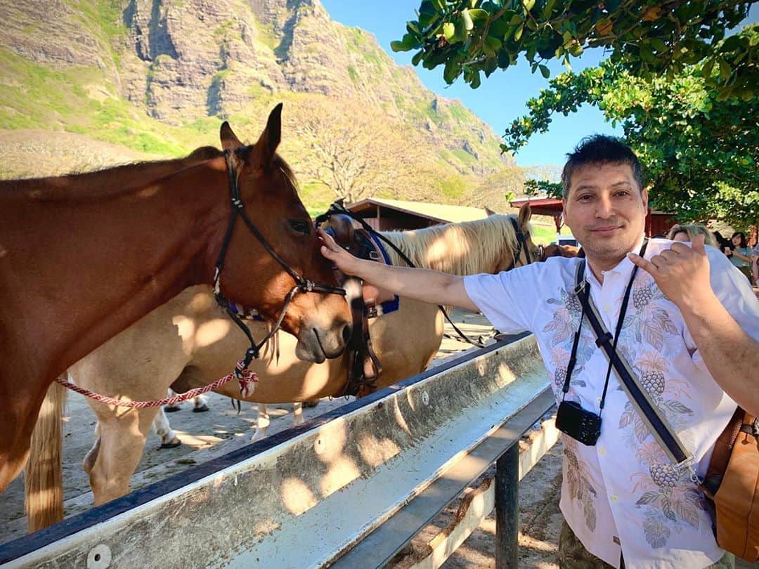 kawaiihawaiitourさんのインスタグラム写真 - (kawaiihawaiitourInstagram)「本日は、ツアーで人気だったクアロア牧場の乗馬の様子やクアロアの風景を紹介します‼️インスタ映えします。少しでも多く皆さんにハワイの気分を味わってもらえたら嬉しいです。当社では、お客様が行きたいところを自由に選んでもらって好きなようにツアーが回れます‼️ --------------------------------------------------------- ❤️Kawaii Hawai'i Tour / カワイイ・ハワイ・ツアー ❤️✨🌈プラン🌈✨ (ハワイ州政府公認会社 PUC 497-C) ✔︎日本人経営 日本人ガイド付きツアーなので安心️🏝✨😎👍🏽 ✔︎あなただけのオリジナルツアーが作れます ✔︎初ハワイ満喫コース、オススメスケジュールご用意しています‼︎ ✔︎ガイドブック派？それともローカル体験派？ ✔︎なんでもご相談下さい 💁🏽‍♂️💁🏽☀️🏝✨😎👍🏽 ✔︎お写真もたくさんお撮りします🤳 ------------------------------------------------------ お客様の笑顔が私達の笑顔をモットーにツアーをさせてもらっています🚙🚖🚘 --------------------------------------------------------  #ハワイ #hawaii #カワイイハワイハワイツアー #カカアコウォールアート  #コロナ　#ファインダー越しの私の世界 #カカアコ #ハワイ好き #ラニカイビーチ #天国の海 #ハワイウェディング #ハワイ行きたい #ハワイツアー #アウラニディズニー  #ハワイチャーターツアー  #ハワイ旅行 #kualoaranch  #カイルア #ハレイワ  #ホノルル　#フォトジェニック #ハワイ挙式 #ハワイ好きな人と繋がりたい #ハワイコロナ　#インスタ映え　#ピルボックス　#ワイキキ　#クアロアランチ  #乗馬　#ロックダウン」8月21日 7時00分 - kawaiihawaiitour