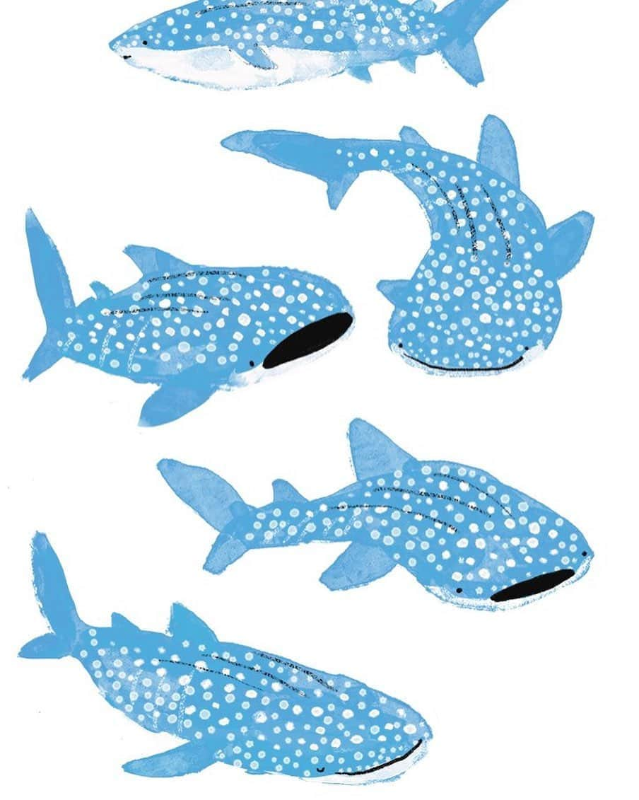 momoroさんのインスタグラム写真 - (momoroInstagram)「#ジンベエザメ #illustration #momoro#ももろ#イラスト#whaleshark」8月21日 7時16分 - momoro6666