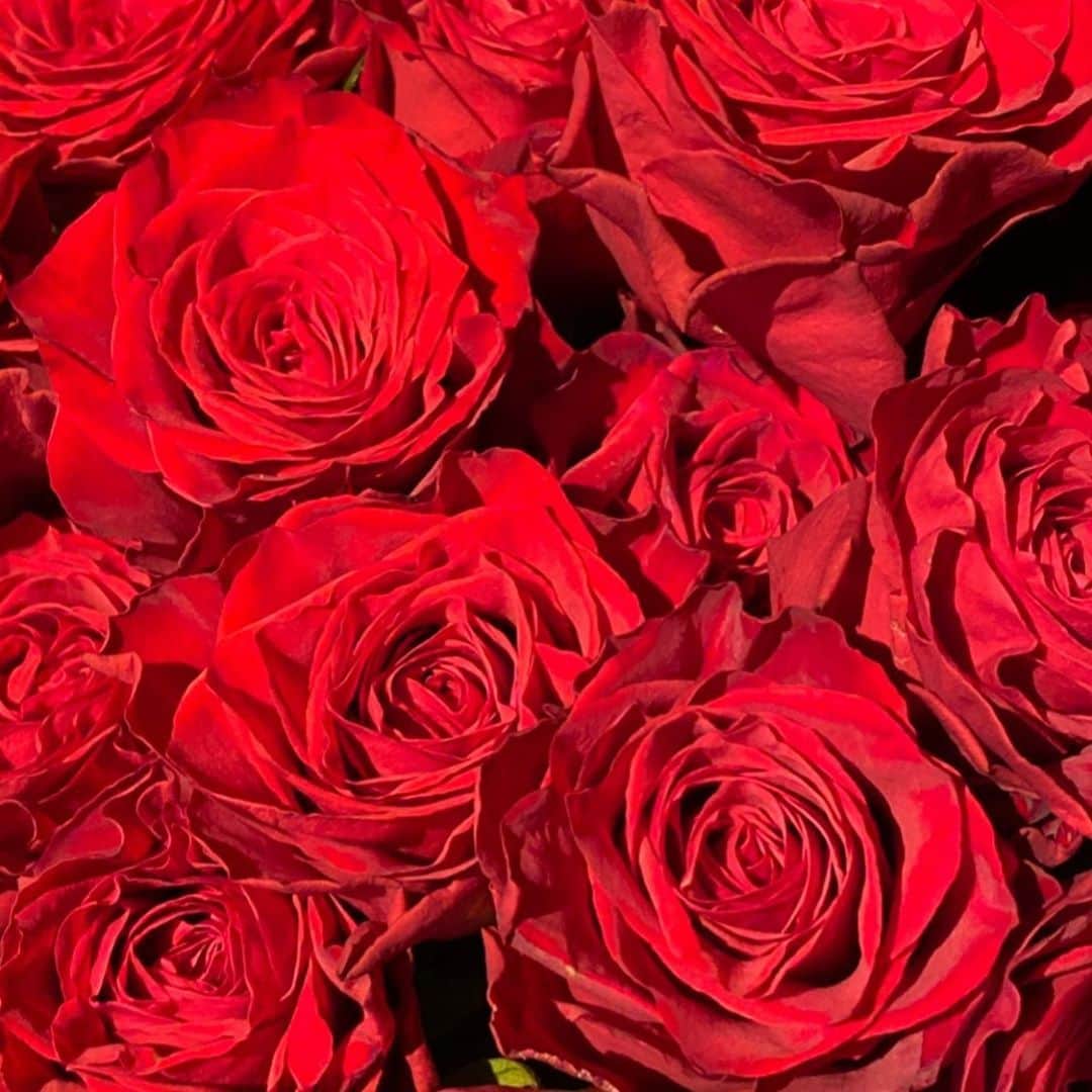 夏木マリさんのインスタグラム写真 - (夏木マリInstagram)「おはよう........  今日21日はマリルージュの日です。  One of loveプロジェクトの紅いバラの日、よろしくお願いします〜  京都小川珈琲さんでは、 コーヒーをいただくと 紅いバラがプレゼントされます。  今日もよい1日に！  #goodmorningseries#goodday #flowerseries#マリルージュの日 @mari_natsuki#natsukirock #夏木マリ #朝はりんごを食べなさい#2020 #One of loveプロジェクト#GODIVA #支援ライブ #マリより証拠#summer」8月21日 7時18分 - mari_natsuki