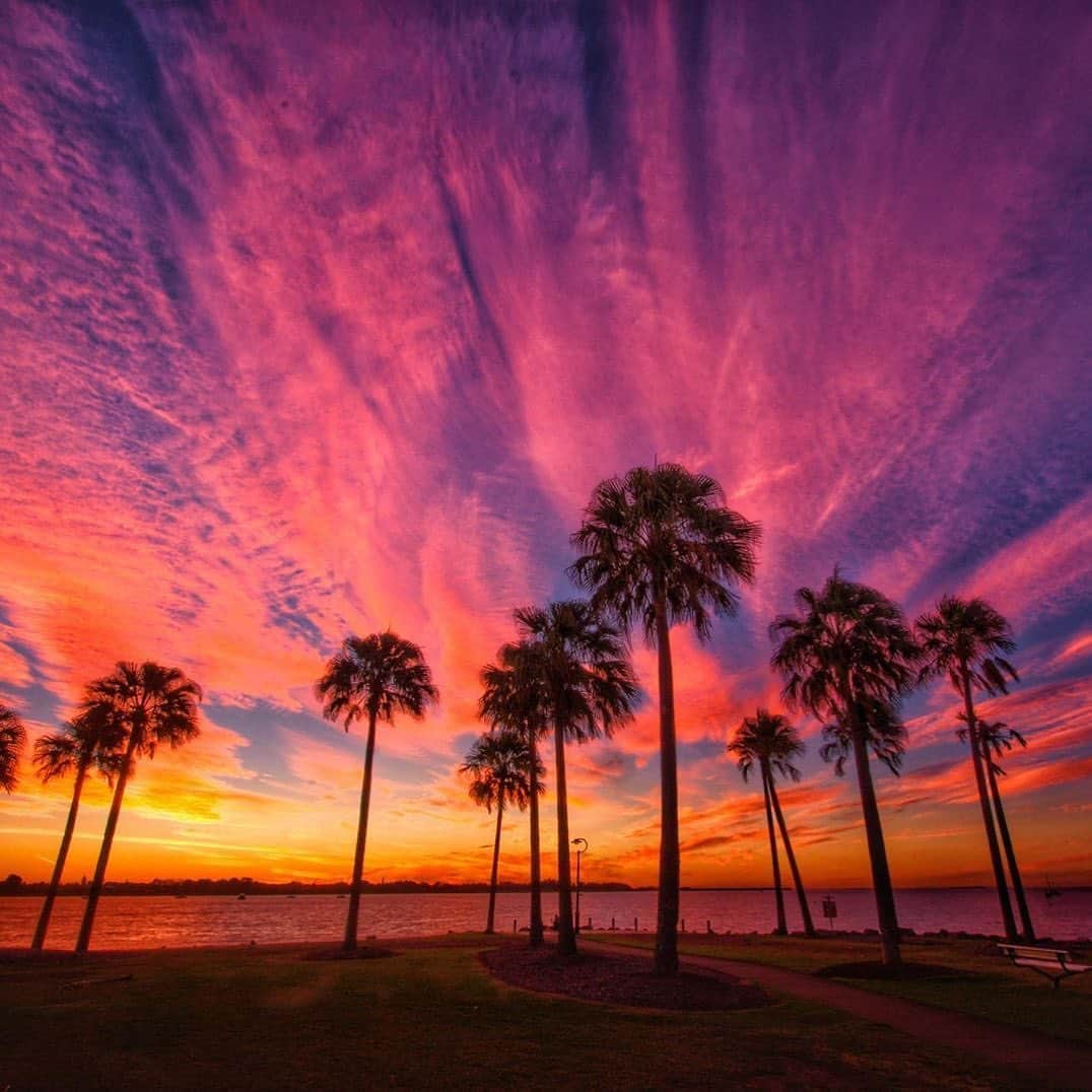 Canon Photographyさんのインスタグラム写真 - (Canon PhotographyInstagram)「A wonderful Australian sunset. Photography // @benmuldersunsets Curated by @steffeneisenacher  #queensland #thisisqueensland #seeaustralia #australia #sunset #sunsetmadness #palmtrees」8月21日 7時22分 - cpcollectives