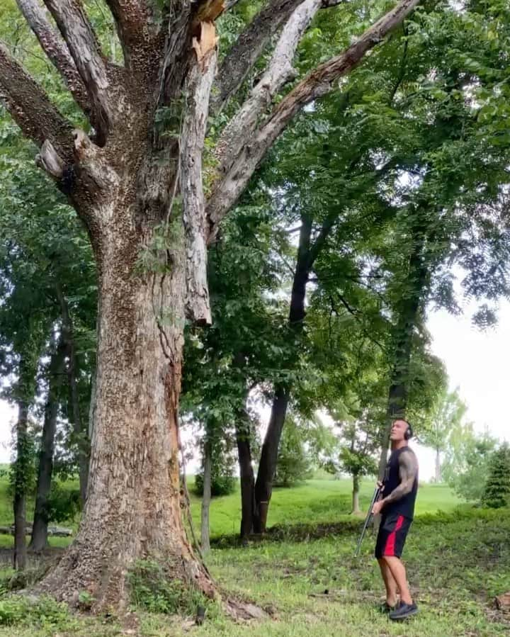 ランディ・オートンのインスタグラム：「Pruning at the Orton household with 2 of my 6 favorite people. #12g #benelli #benellishotguns」