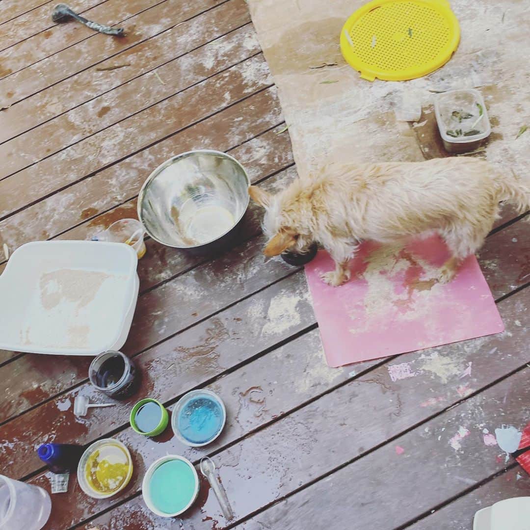 レイチェル・レフィブレさんのインスタグラム写真 - (レイチェル・レフィブレInstagram)「I don’t know what I find more disconcerting- this mess I have to clean up or that my dog eats sand 🤦🏼‍♀️ #momlife #homeschool #art #creativeplay #foodcoloring #doglife」8月21日 8時14分 - rachellelefevre