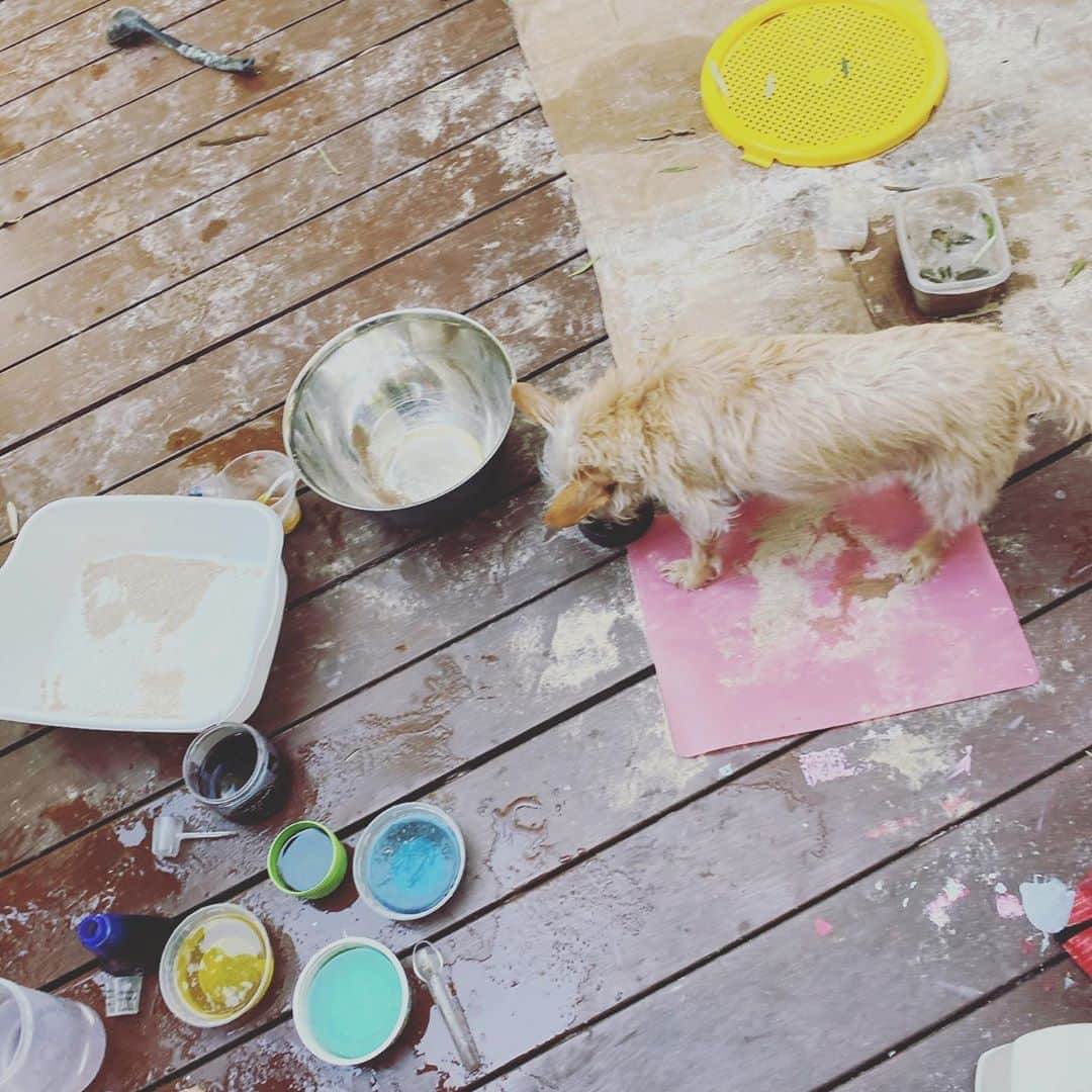 レイチェル・レフィブレのインスタグラム：「I don’t know what I find more disconcerting- this mess I have to clean up or that my dog eats sand 🤦🏼‍♀️ #momlife #homeschool #art #creativeplay #foodcoloring #doglife」