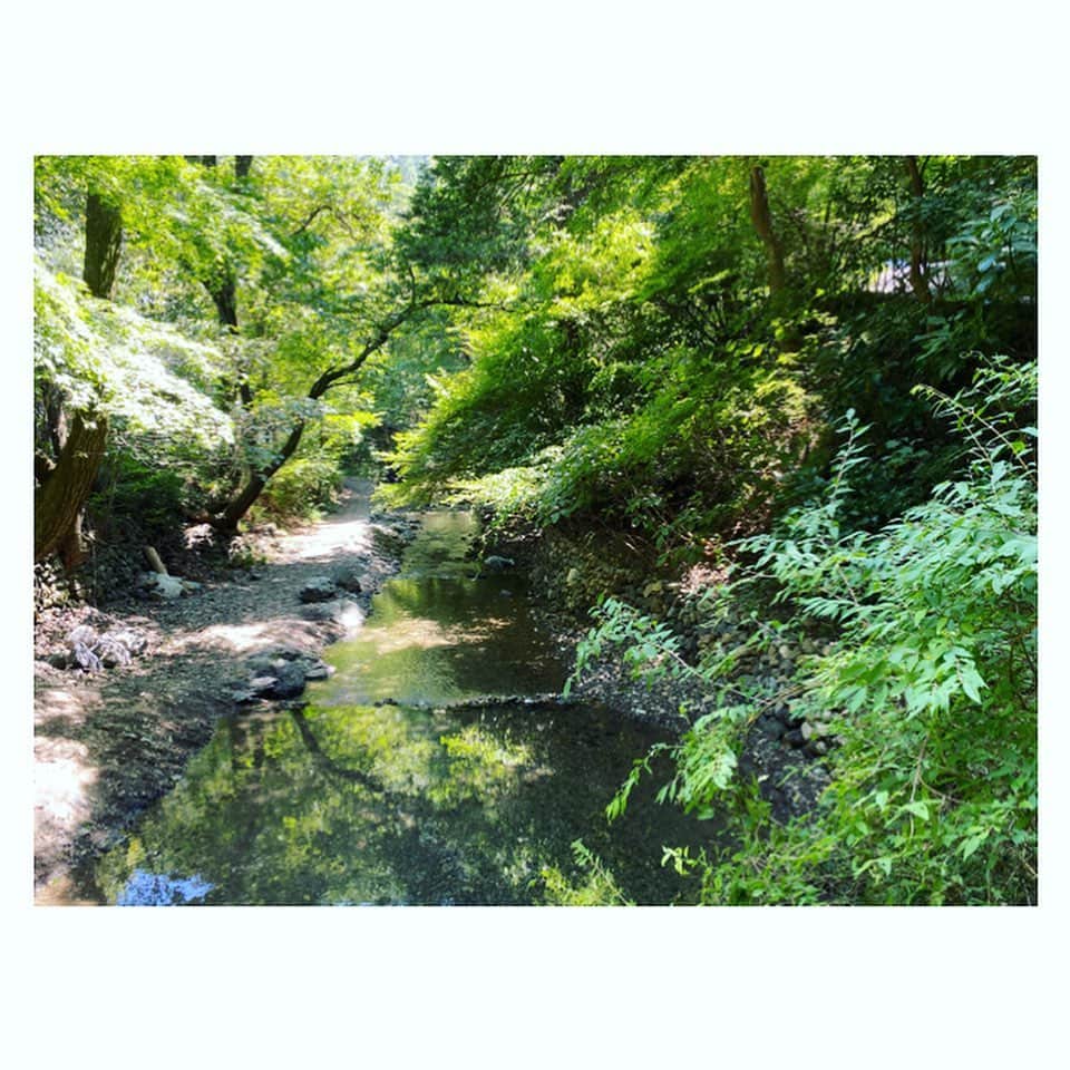 入来茉里さんのインスタグラム写真 - (入来茉里Instagram)「おはようございます。 昨日 大自然の中へと行って来たので、皆さんにもお裾分け。 写真のような場所でした🌿 川の流れる音がして 蝉の鳴く声と 葉の揺れる音しかない。 都内にもこんな素敵な場所があったんだなぁと…少し落ち着くのは地元が鹿児島で 自然に囲まれた祖父母の家を思い出すからなのか、時折り、1人で川の中を歩きました。 この時は、まだ膝くらいまで。 ・ #自然 #渓谷 #緑 #森林浴」8月21日 9時02分 - iriki.mari_official