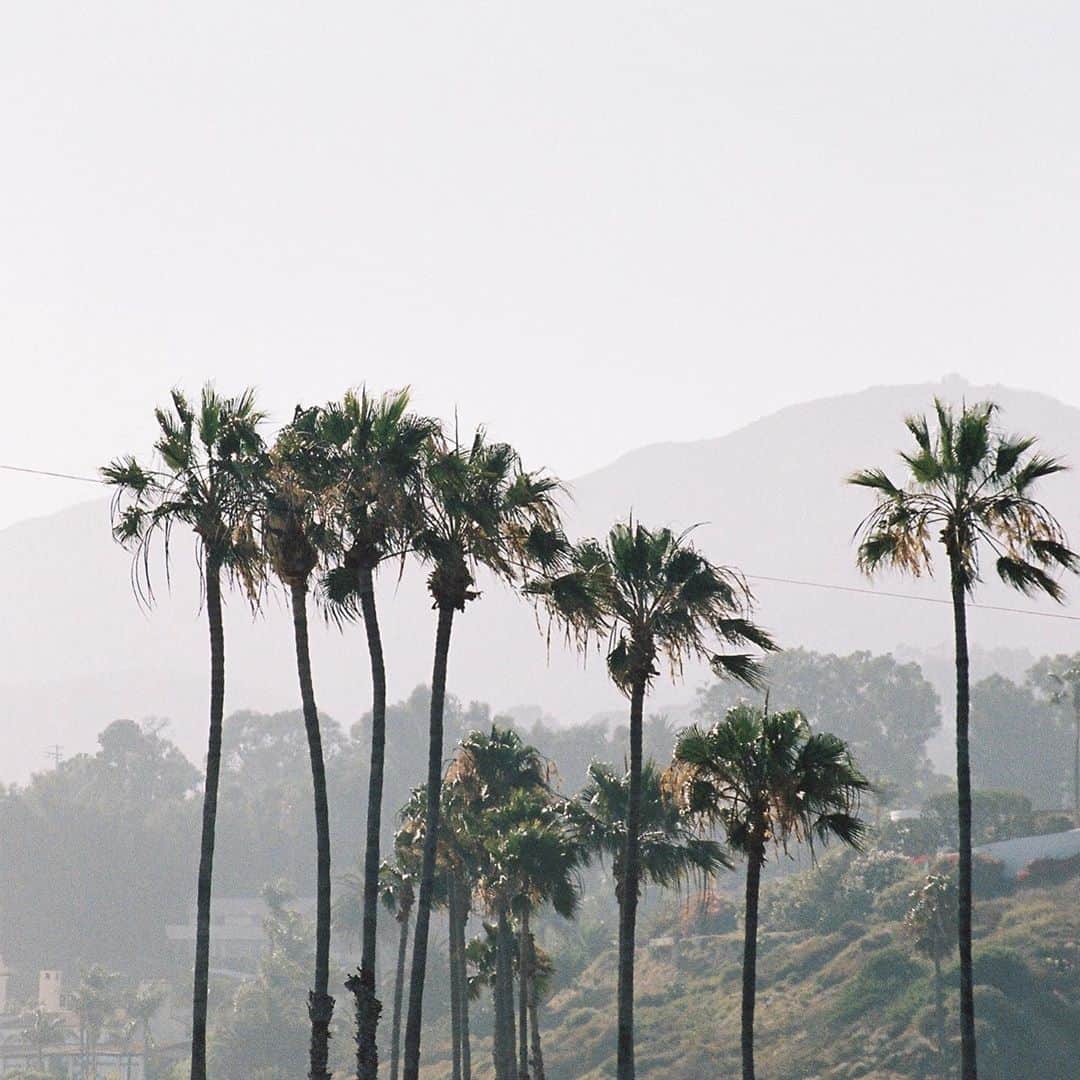 ケルシー・ロビンソンのインスタグラム：「Hoping and praying for clear skies soon in California 💔」