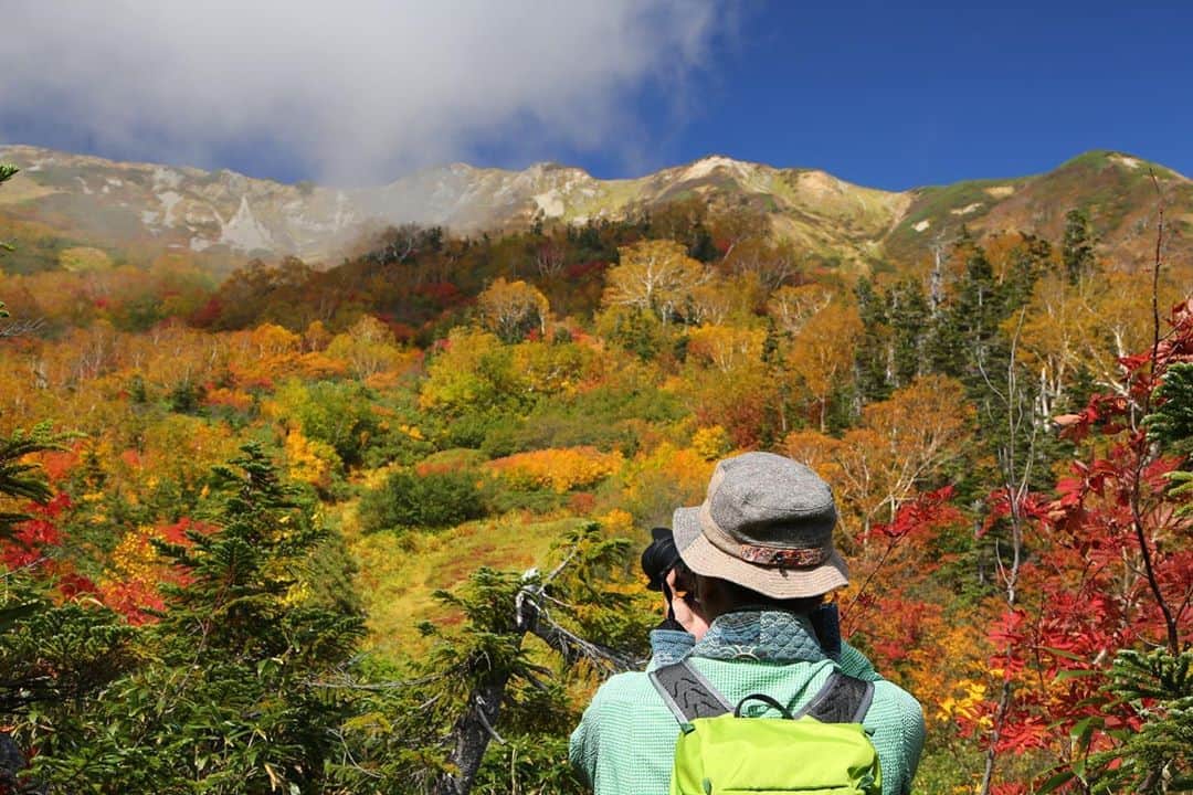 のインスタグラム：「今秋は栂池高原の澄んだ空気の中、紅葉を楽しんではいかがでしょう？🍁  #秋の気配　#紅葉　#栂池自然園 #長野観光 #栂池高原　#長野旅行 #長野のいいところ #行楽日和 #秋　#幸せな瞬間をもっと世界に #instgram #japan #nagano #hakuba #tsugaike #autumnvibes🍁 #autumn」