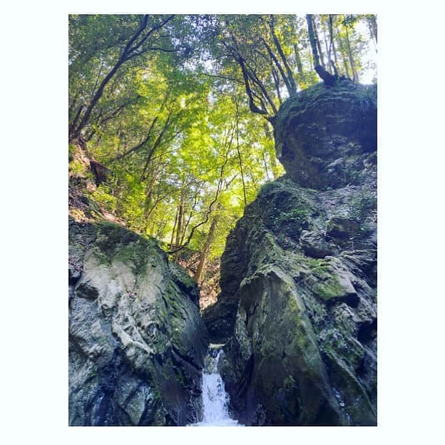 入来茉里さんのインスタグラム写真 - (入来茉里Instagram)「場所を移動し 滝ツボへ 止め処なく流れる 水の量に感動してしまうくらい、毎日都会の中にいるんだなって。 この下、足がつかないくらいの深さでした。 何メートルあるのか… そして… ・ #自然 #渓谷 #都内 #滝ツボ #川 #都内 #田舎 #どっちが好き」8月21日 9時16分 - iriki.mari_official