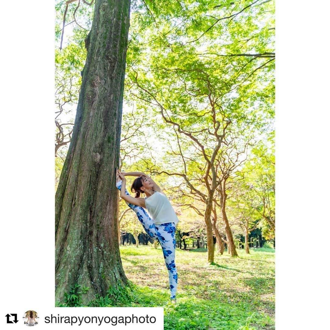 西畑亜美さんのインスタグラム写真 - (西畑亜美Instagram)「photo by @shirapyonyogaphoto  ..... レッスンやイベントの時、私が緊張しているとその緊張感が皆様に伝わってしまう。 身体と心に意識をむけてほしいから、私自身のコンディションが完璧であるように、出来ること全てを整えていく。 ・ 写真も出来上がりを見ると、自分がどのような心境だったのがすぐ分かる。 ・ @shirapyonyogaphoto 優しい人柄で安心してリラックスして撮ってもらえます☺️ （実は私は人見知り😂） ヨガインストラクターとしてスタートをきった方、これから考えている方等は、是非お願いされると良いと思いますよ☺️ ..... 撮って頂いた写真、これから少しづつアップしていきます♡  #Repost @shirapyonyogaphoto with @get_repost ・・・ Model :  西畑亜美　@amii0106  公園での爽やかな朝日と 一日のはじまり 元気がでますね  亜美さんのヨガレッスン情報はインスタに載ってますよ  Location : 東京  Photographer : @shirapyonyogaphoto  撮影依頼や相談はDMにて  #写真好き #写真好きな人と繋がりたい #写真撮っている人と繋がりたい #写真を撮るのが好きな人と繋がりたい #被写体 #東京カメラ部  #モデル #作品撮り #撮影モデル #撮影依頼募集中 #出張撮影 #宣材写真  #yoga #yogalife #yogafit #ヨギーニ #ヨガ好き #ヨガ好きな人と繋がりたい #ヨガ #ヨガインストラクター #ヨガ講師 #ヨガライフ  #ヨガ撮影 #イベント撮影 #プロフィール写真撮影　#ヨガポーズ　#柔軟性　#開脚　#ストレッチ」8月21日 10時47分 - amii0106