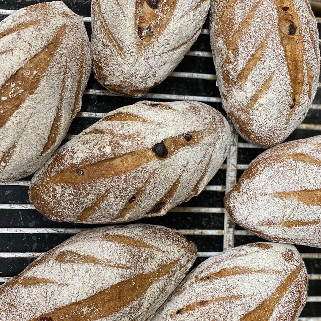 魔女菅原のグルメインスタ