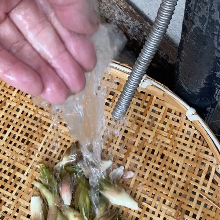 魔女菅原のグルメインスタ