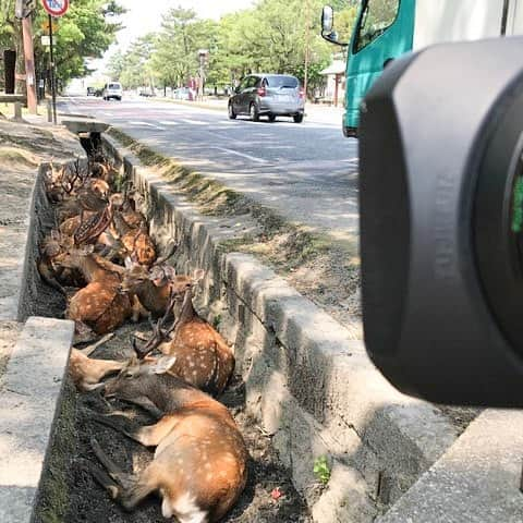 読売テレビ「かんさい情報ネットten.」のインスタグラム