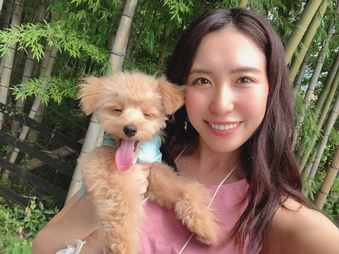 mimiさんのインスタグラム写真 - (mimiInstagram)「きゃわいい🥺💕 綺麗な舌👅☺️❤️笑 ベルたんはじめてのドッグランでした❣️ ・ #ベルたんの成長記録 #ベルたん #ベルスタグラム #べるすたぐらむ #ベルたんとの生活 #トイプーとポメラニアンのmix #ハーフ犬 #ポメプー #ポメプー部 #テディベア犬 #いぬばか部 #いぬすたぐらむ #犬バカ部 #犬バカ部ふわもこ部 #ふわもこ部 #犬のいる暮らし #犬好きな人と繋がりたい #犬のいる生活 #愛犬 #愛犬との暮らし #うちの子一番 #わんこ部 #仔犬 #ilovedogs🐶❤️ #パピー期 #生後5ヶ月 #はじめてのドッグラン #ドッグラン #愛犬の駅 #ラディカ夏の思い出」8月21日 12時27分 - chan.mi3