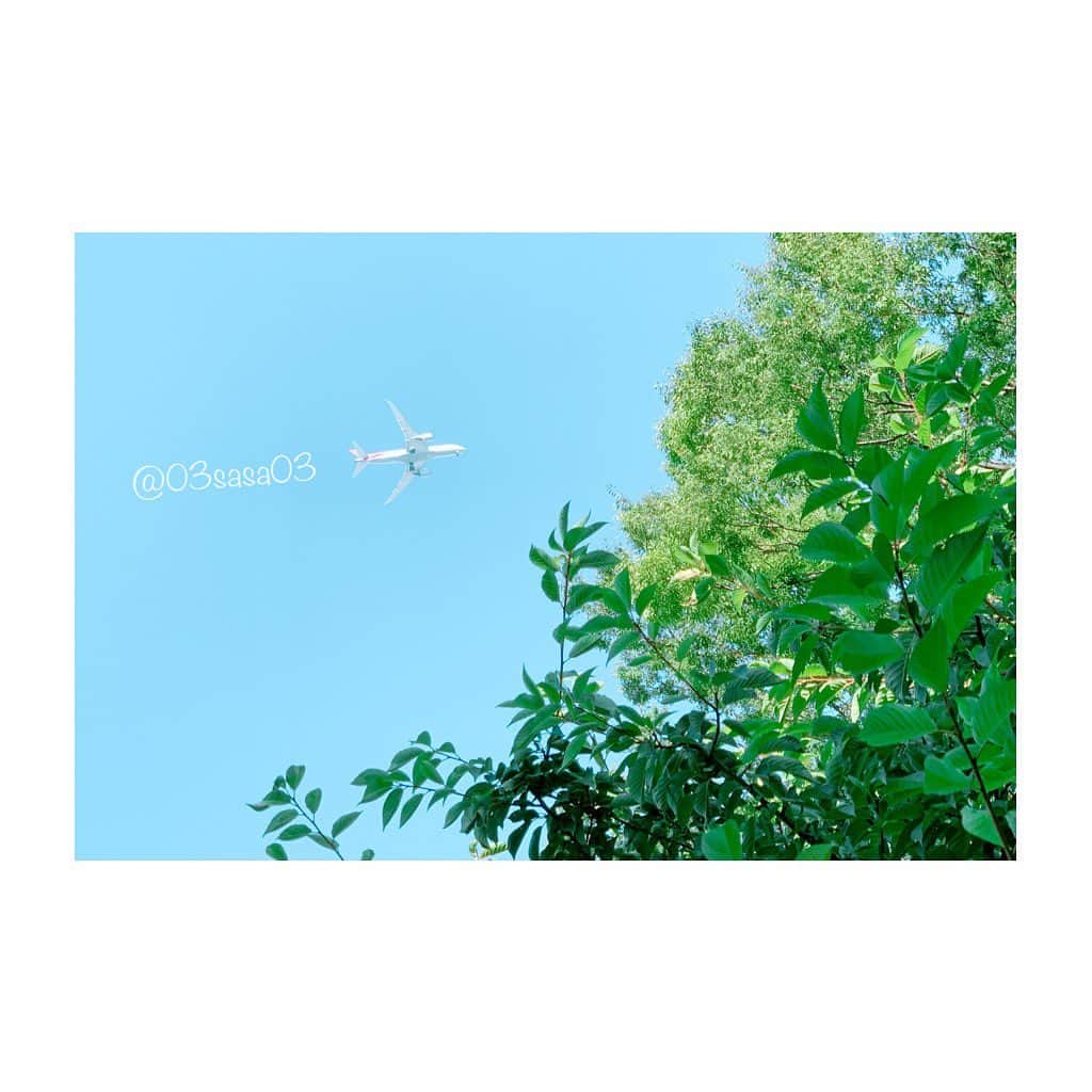 紗々さんのインスタグラム写真 - (紗々Instagram)「行きたいところがたくさん✈️ * 元気で乗り切って、また旅行したい。 * #飛行機 #羽田新ルート #airplane #photography #instagram」8月21日 12時52分 - 03sasa03