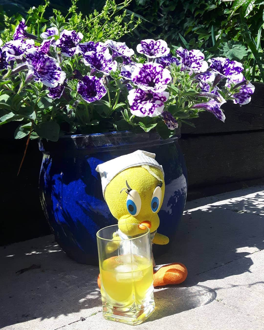 Little Yellow Birdさんのインスタグラム写真 - (Little Yellow BirdInstagram)「Yellow is such a good colour. Especially when it contains alcohol. And is called limoncello. Cheers to the weekend! #littleyellowbird #tweety #tweetykweelapis #adventures #yellow #bird #weekend #friday #tgif #fridaynight #happyhour #drinks #fun #cheers #proost #limoncello #garden #summer #zomer #august #stuffedanimalsofinstagram #plushiesofinstagram」8月21日 22時46分 - tweetykweelapis