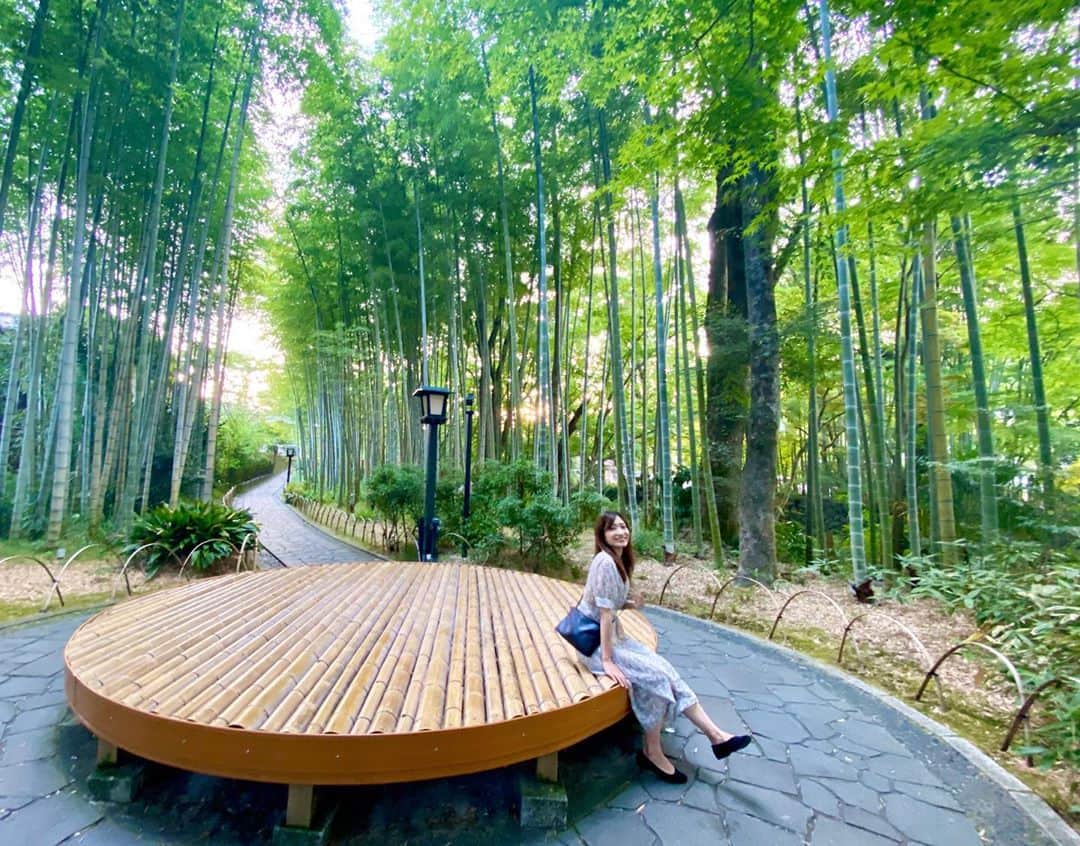 北川彩さんのインスタグラム写真 - (北川彩Instagram)「. 先日伊豆の方へ。 一度行ってみたかったところ！ 周りは竹。 趣があり、夜にはライトアップされるとても綺麗な場所。」8月21日 22時39分 - aya_kitagawa_