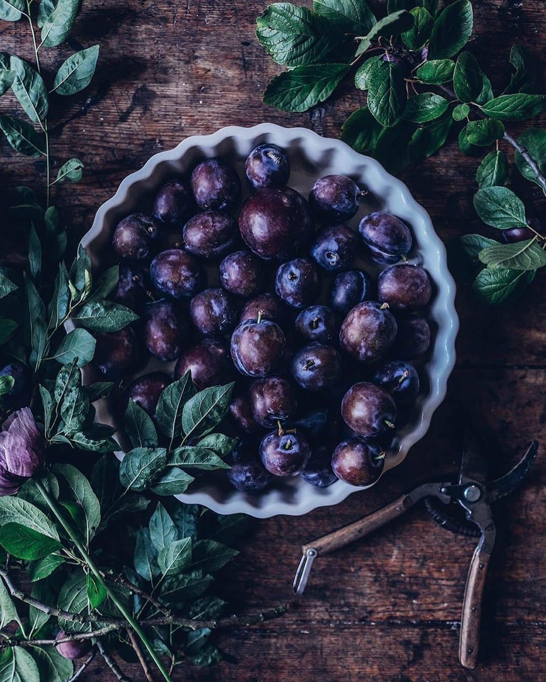 Our Food Storiesさんのインスタグラム写真 - (Our Food StoriesInstagram)「Can‘t wait to bake this delicious gluten-free plum pie this weekend again 🥧 Get the recipe on the blog, link is in profile 😋 #ourfoodstories  ____ #plumpie #glutenfreerecipes #glutenfreefood #glutenfri #glutenfrei #glutenfreecake #onthetable #fellowmag #simplejoys #countrysidephotography #verilymoments #momentslikethis #morningslikethese #foodstylist #foodphotographer #germanfoodblogger」8月21日 22時40分 - _foodstories_