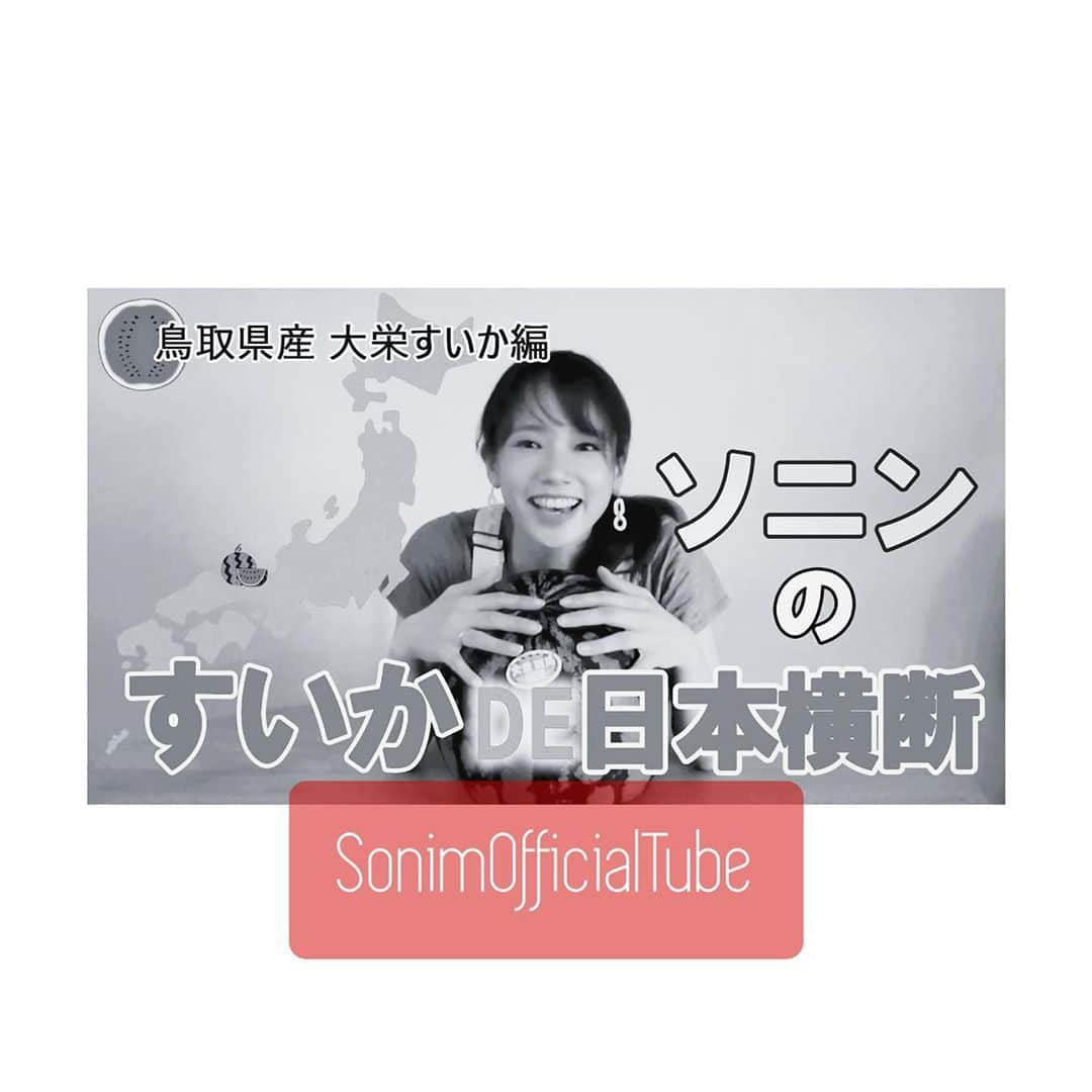 ソニン クッキングのインスタグラム：「. #SonimOfficialTube に🍉すいか動画第2弾 アップされました‼️ . 今回は鳥取県産の大栄すいか。 前回の熊本すいかとの違いや、すいかの保存法、皮に近い部分の使い方… ぜひチェックしてください✨ #スイカで水分補給 #スイカ愛 #夏は果物 #RawLife #Fruitarian #WatermelonLover . プロフィールのyoutubeから飛んでください🔗」