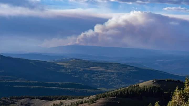 ナショナルジオグラフィックのインスタグラム